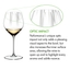 RIEDEL Performance Tasting Set 
