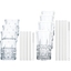 SPIEGELAU Elegance Tumbler + Straws 