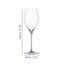 SPIEGELAU Special Glasses Calice da Champagne Sparkling Party - 450ml 