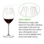 RIEDEL Performance Tasting Set 