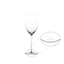 SPIEGELAU Hi-Lite Champagne Glass 