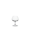 SPIEGELAU Perfect Serve Collection Nosing Glass gefüllt mit einem Getränk auf weißem Hintergrund