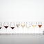 RIEDEL Veloce Tasting Set in the group