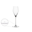 SPIEGELAU Definition Champagne Glass 