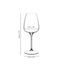 GRAPE@RIEDEL bicchiere da vino bianco/ Champagne/Spritz Drinks 