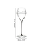 RIEDEL Veloce Champagne Wine Glass 