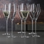 SPIEGELAU Definition Champagne Glass in use