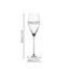 SPIEGELAU Definition Bicchiere da vino Champagne 