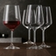 SPIEGELAU Style Bicchiere da vino rosso in uso