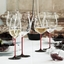 RIEDEL Black Series Collector's Edition Riesling Grand Cru in use