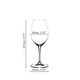 A RIEDEL Wine Friendly White Wine / Champagne Wine Glass filled with champagne against a white background.