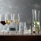 SPIEGELAU LifeStyle Champagne Glass Set in the group