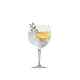SPIEGELAU Special Glasses Gin and Tonic filled with a drink on a white background