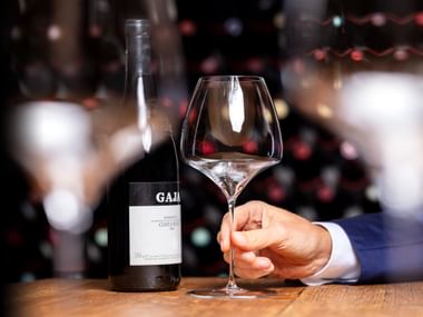 Riedel Vitis Pinot Noir / Nebbiolo