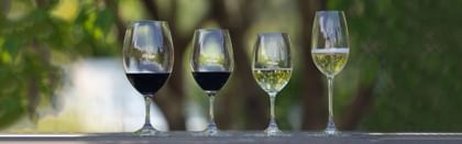 RIEDEL Ouverture glassware lined up