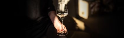 champagne sale header