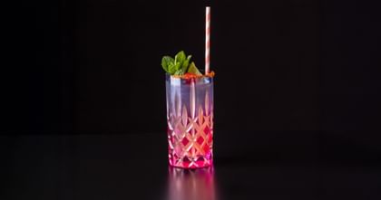 RIEDEL Laudon Highball glass