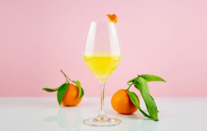 mimosa next to oranges and pink background