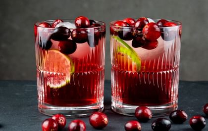 RIEDEL Tumbler Collection Shadows Tumbler with a cranberry cocktail and cranberries as decoration