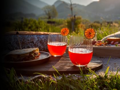 Picnic with Riedel Glasses
