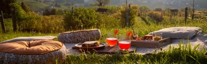 cocktails in RIEDEL glassware in picnic setting