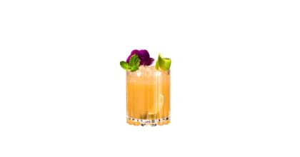 double rocks glass filled white background