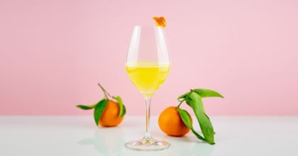 mimosa next to oranges and pink background