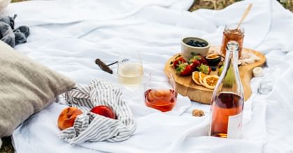 picnic setting with stemless RIEDEL white wine glass