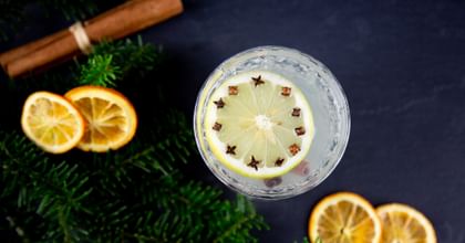 Mulled gin in the RIEDEL Fire Whisky Tumbler surrounded by dried oranges and a branch.