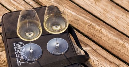 two RIEDEL Winewings glasses