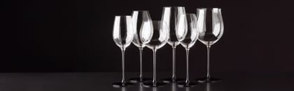RIEDEL wine glasses lined up