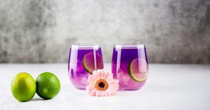 Butterfly pea flower tea in two REIDEL stemless glasses