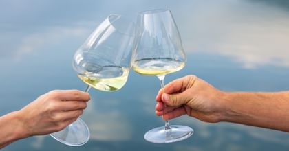 two hands toasting RIEDEL Winewings glasses near water