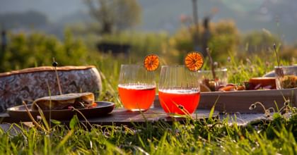 cocktails in stemless glasses in picnic setting