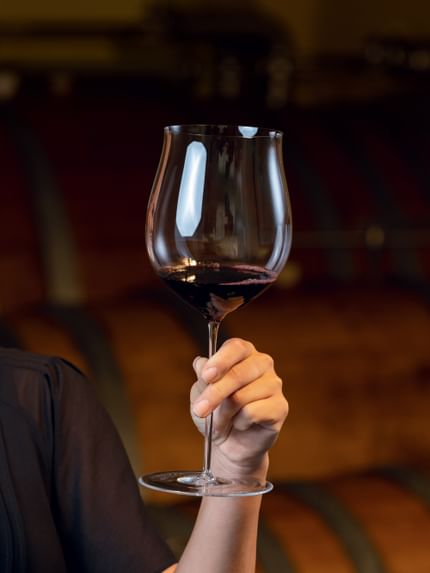 Lady holding a RIEDEL Superleggero Burgundy Grand Cru glass filled with red wine.