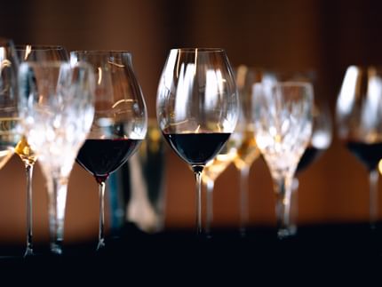various wine glasses close up