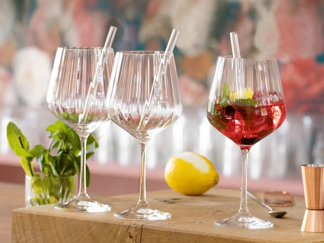 NACHTMANN Gin and Tonic Glasses with Glass Straws