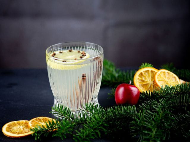 Mulled gin in the RIEDEL Fire Whisky Tumbler surrounded by dried oranges and a branch.