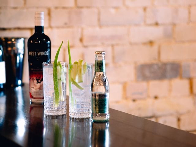 Two SPIEGELAU Perfect Serve Collection Long Drink glasses filled with G&T on a bar benchtop.