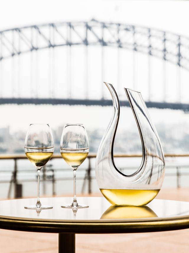 RIEDEl Amadeo Decanter and two wine glasses outdoors